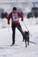 Lenk 2013